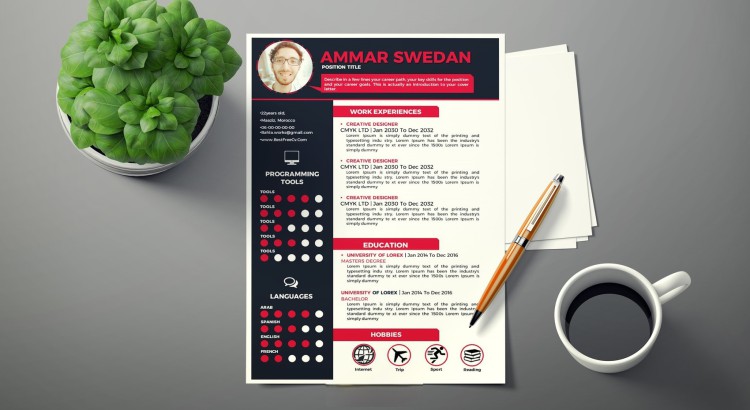 تصميم سيرة ذاتية احترافية